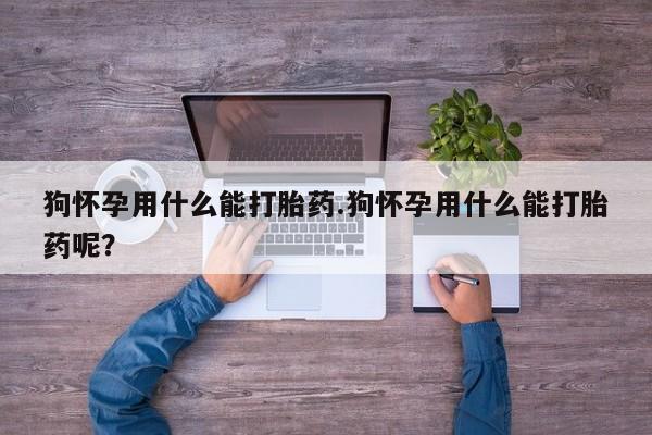 打胎药联系方式狗怀孕用什么能打胎药.狗怀孕用什么能打胎药呢？