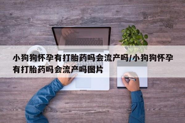 打胎药联系方式小狗狗怀孕有打胎药吗会流产吗/小狗狗怀孕有打胎药吗会流产吗图片