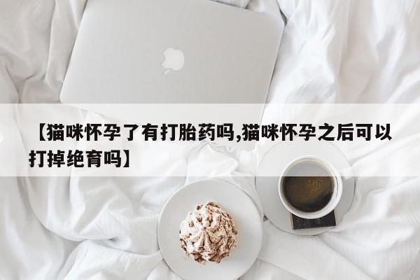 打胎药联系方式【猫咪怀孕了有打胎药吗,猫咪怀孕之后可以打掉绝育吗】