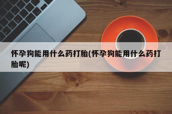 打胎药联系方式怀孕狗能用什么药打胎(怀孕狗能用什么药打胎呢)